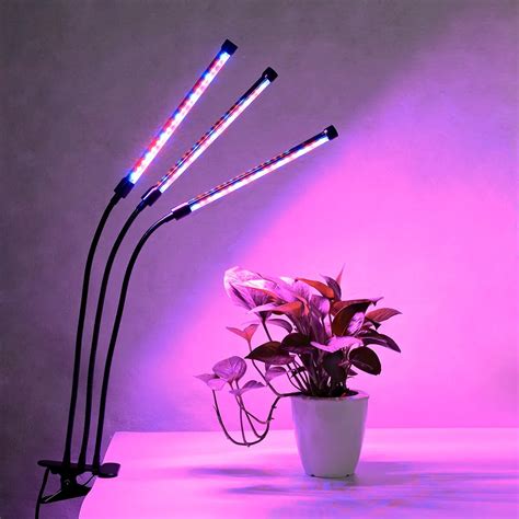 plant lights for indoor plants